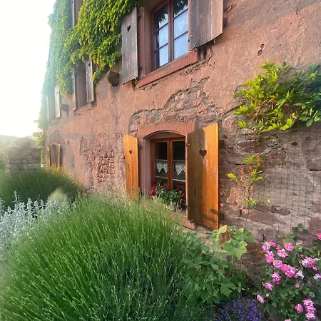 La Maison Aux Quatres Lavandes * Neuve-Eglise